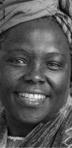 wangari maathai