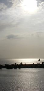 kongo ibaia