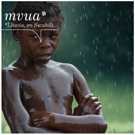 mvua: lluvia en swahili